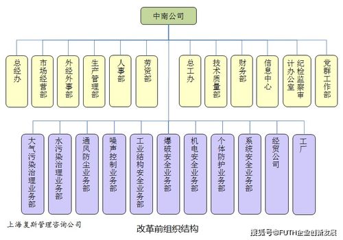 子公司長不大，總部又成了空殼子 某高科技企業技術服務型子公司的管理困境